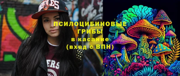 прущий лед Алексин